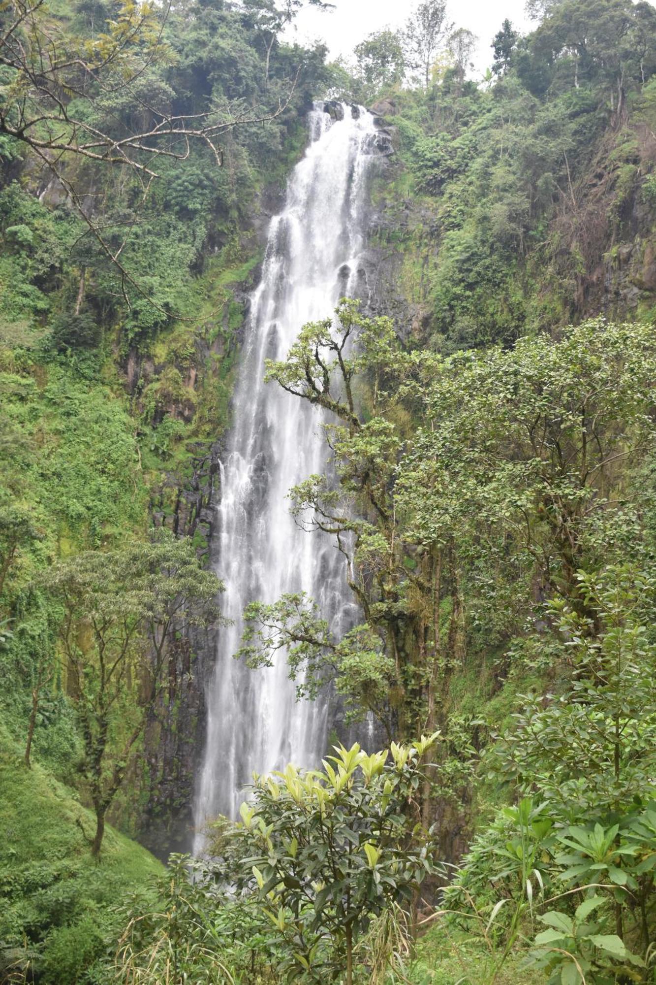 Kilimanjaro Accommodation Msaranga Екстер'єр фото